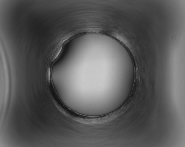 X0000086010013200704131838