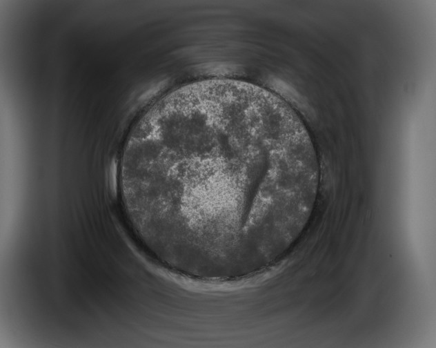 X0000086010014200704131838