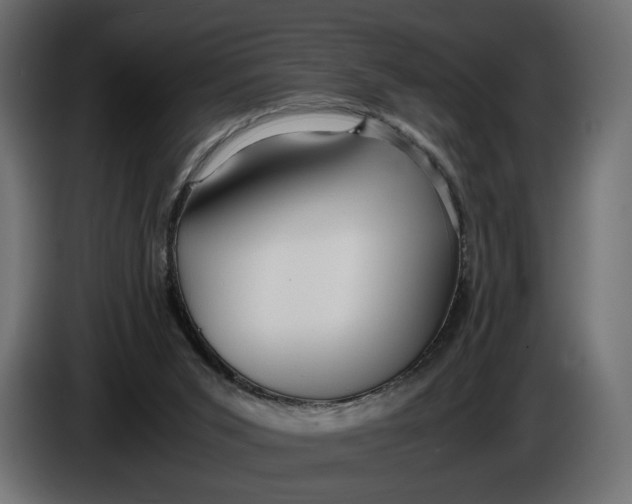 X0000086010015200704131838