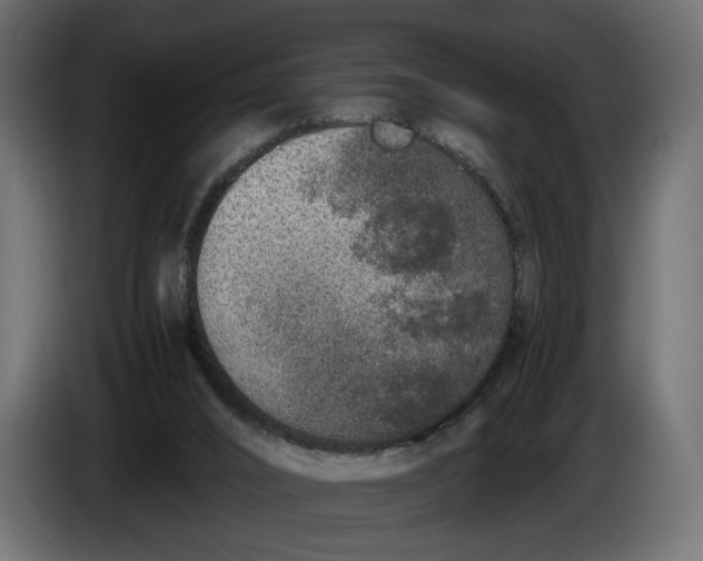 X0000086010016200704131838