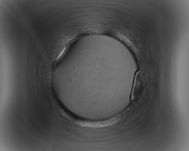 X0000086010017200704131838