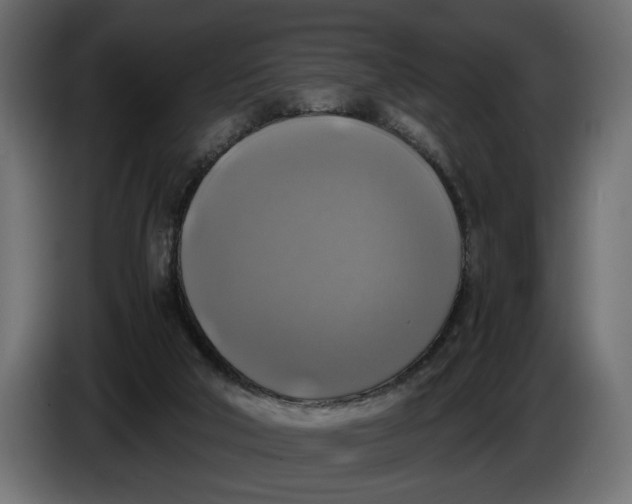 X0000086010018200704131838