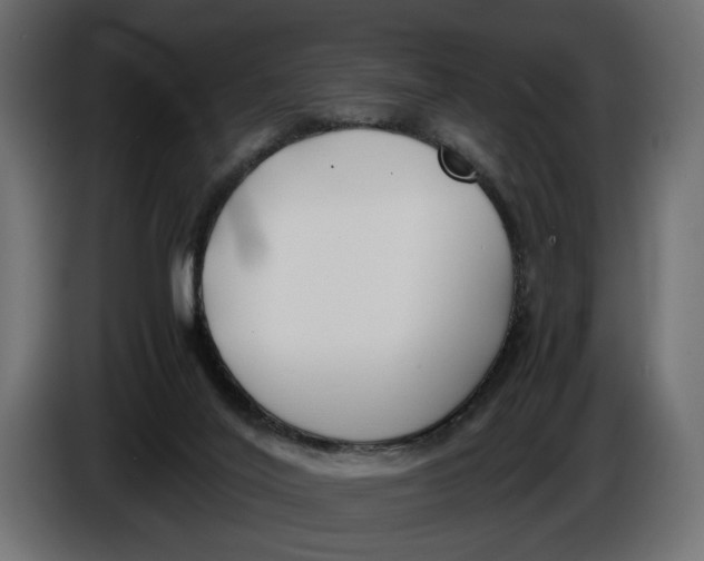X0000086010020200704131838