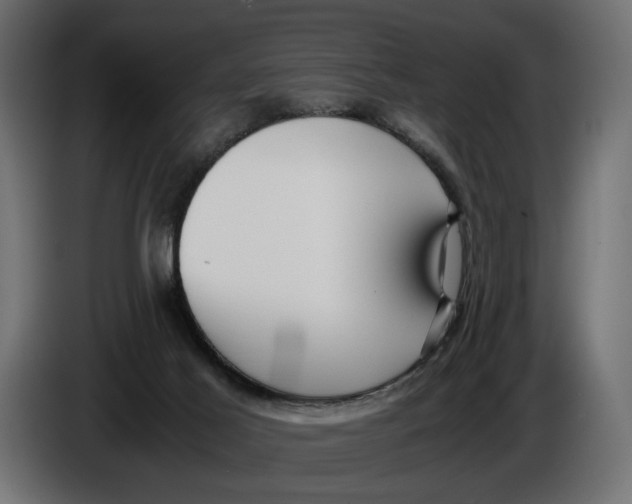 X0000086010021200704131838