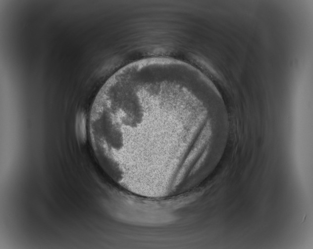 X0000086010022200704131838