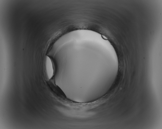 X0000086010023200704131838