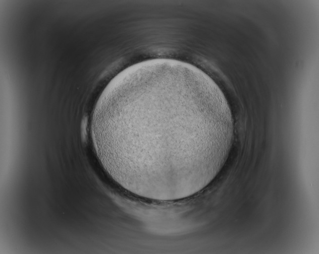 X0000086010024200704131837