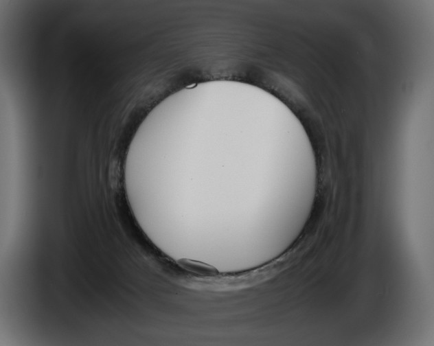 X0000086010025200704131837