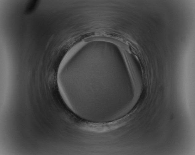 X0000086010029200704131837