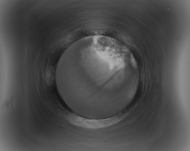 X0000086010030200704131837