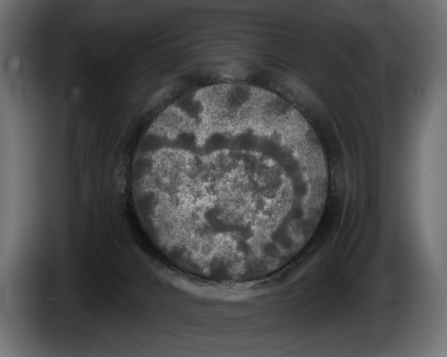 X0000086010032200704131837