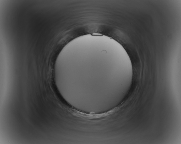 X0000086010035200704131837