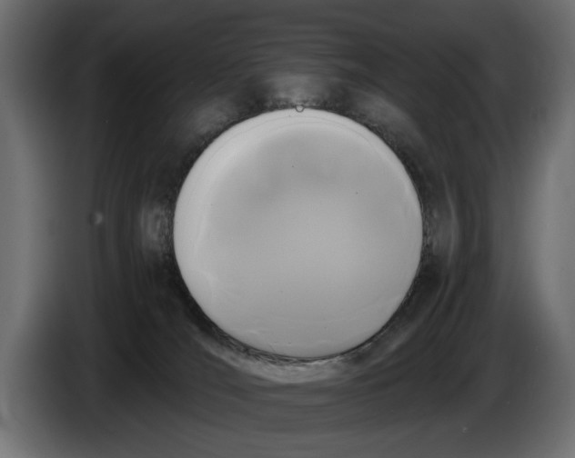 X0000086010036200704131837