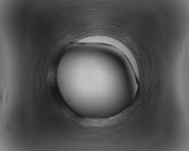 X0000086010037200704131837