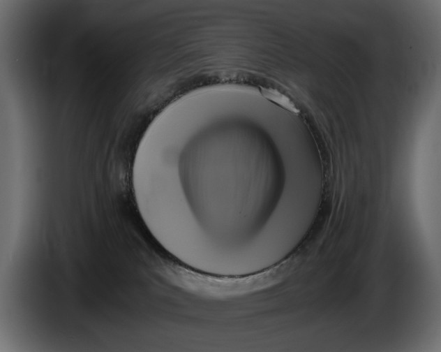 X0000086010039200704131837