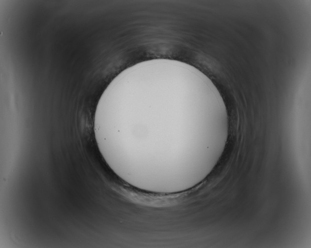X0000086010040200704131837