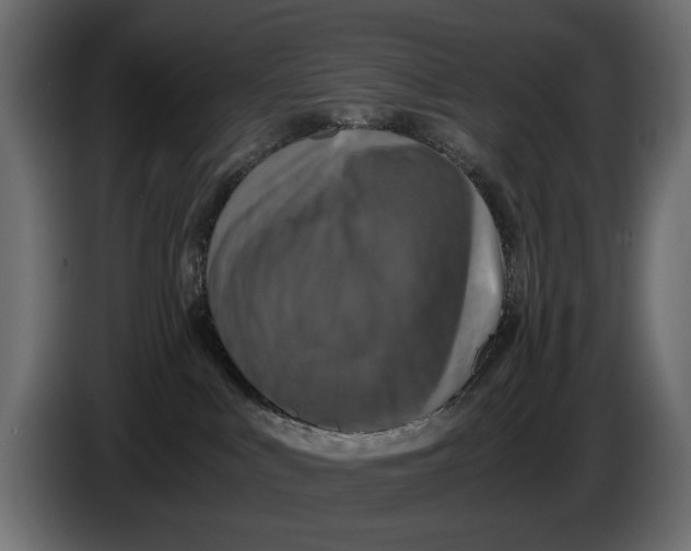 X0000086010043200704131837