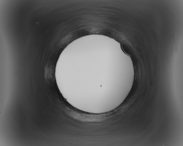 X0000086010044200704131837