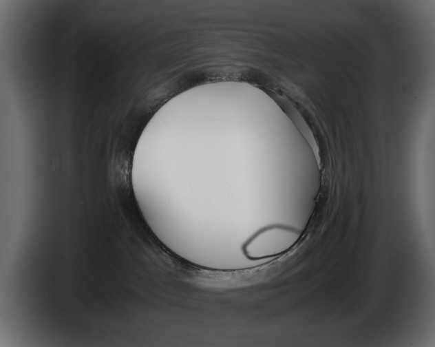 X0000086010045200704131837