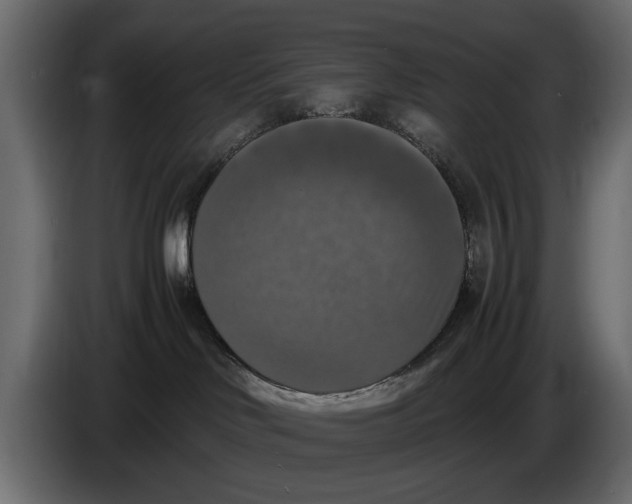 X0000086010046200704131837