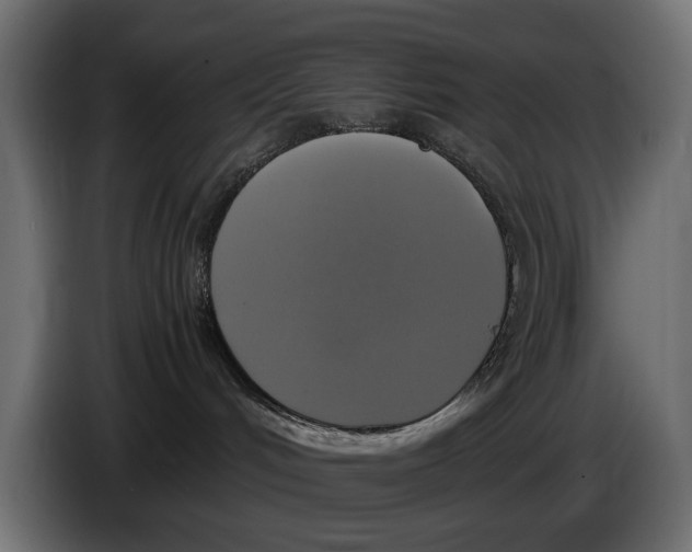 X0000086010048200704131837