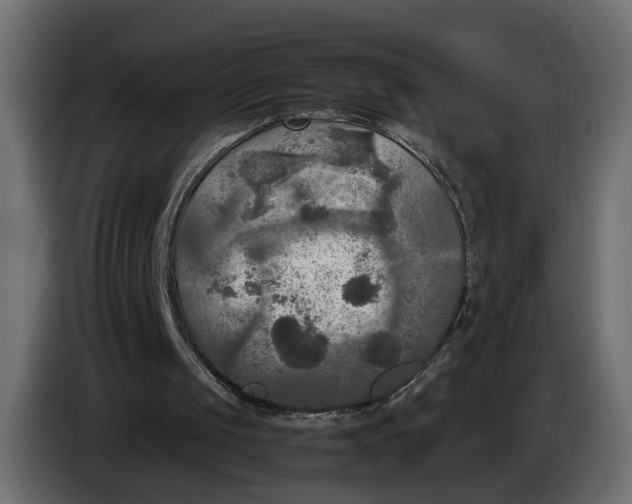 X0000086010049200704131836