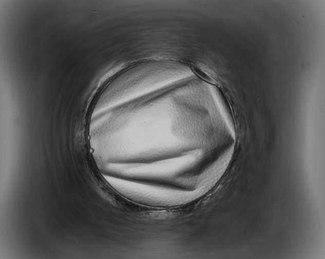 X0000086010050200704131836