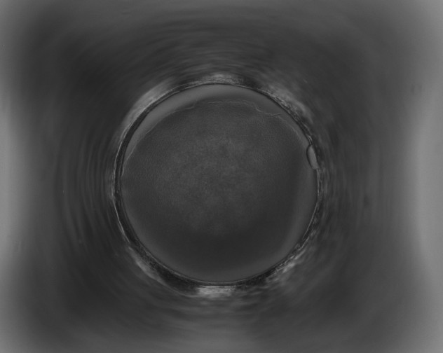 X0000086010051200704131836