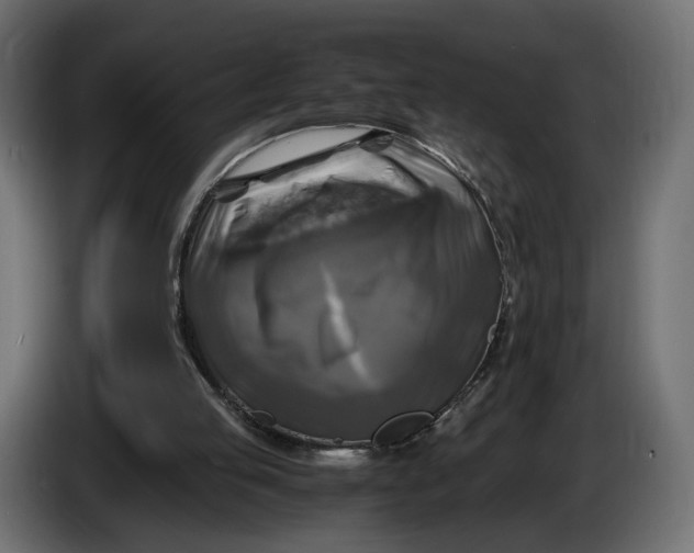 X0000086010053200704131837