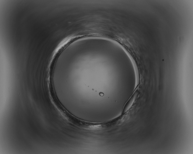 X0000086010054200704131837