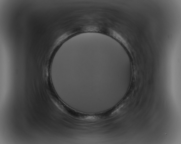 X0000086010059200704131837