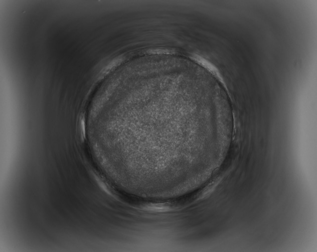 X0000086010061200704131837