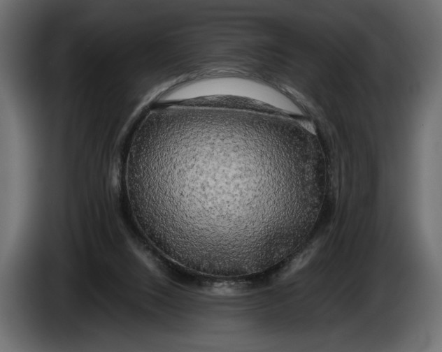 X0000086010064200704131837