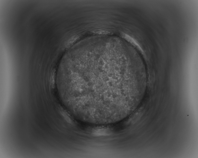 X0000086010065200704131837