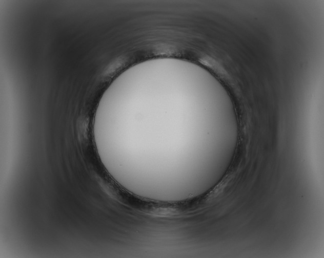 X0000086010066200704131837