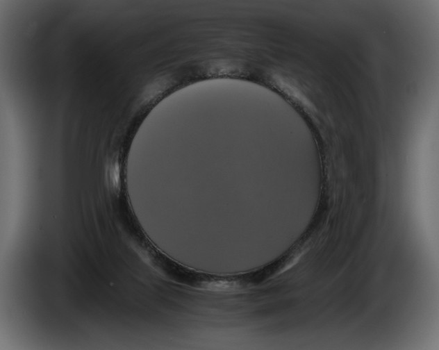 X0000086010067200704131837