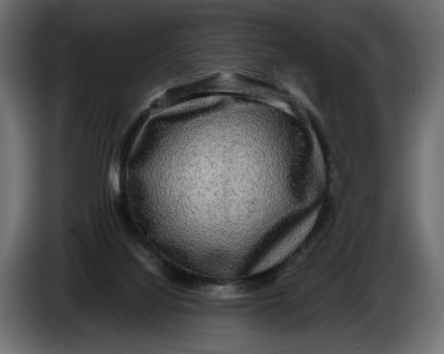 X0000086010068200704131837