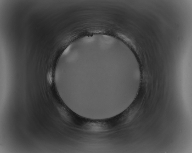 X0000086010069200704131837