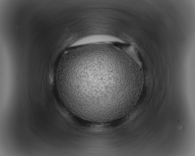 X0000086010072200704131837