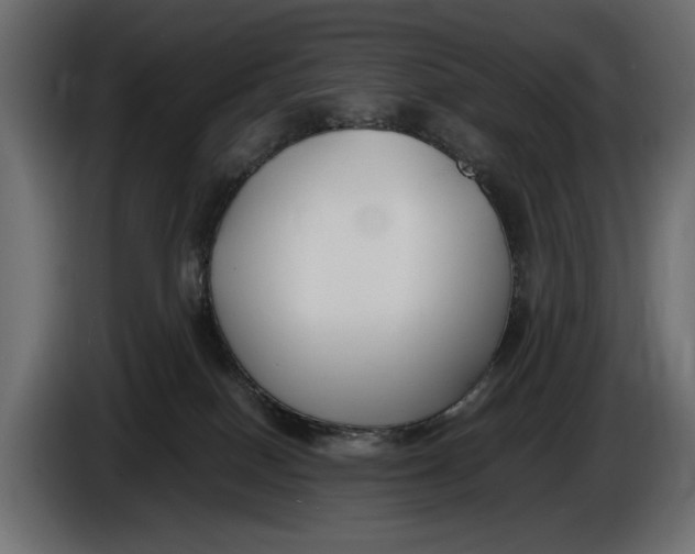 X0000086010086200704131837
