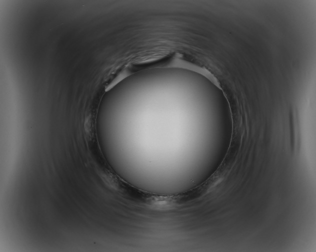X0000086010088200704131837