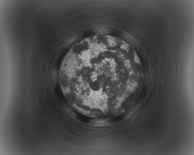 X0000086010093200704131837