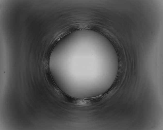 X0000086010096200704131837