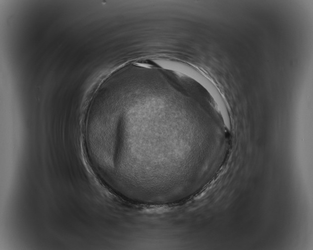 X0000086010097200704131836