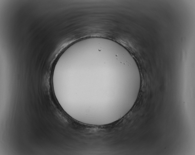 X0000086010098200704131836