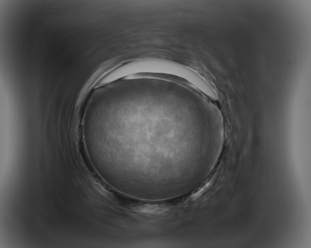 X0000086010101200704131836