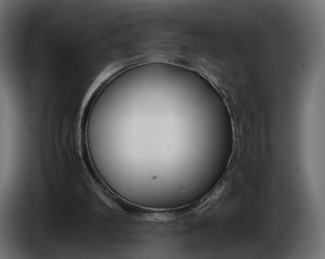 X0000086010102200704131836