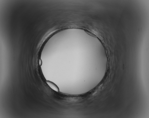X0000086010103200704131836