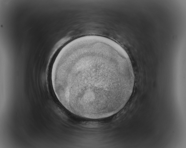 X0000086010104200704131836
