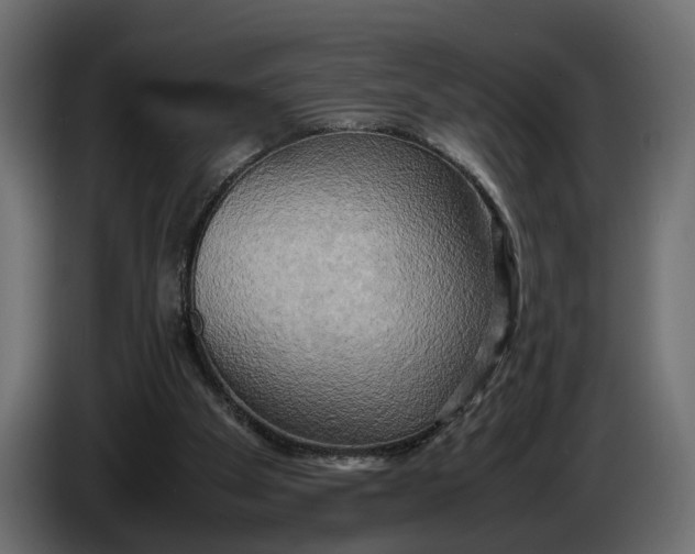 X0000086010105200704131836